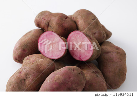 ノーザンルビー ノーザンルビー 119934511