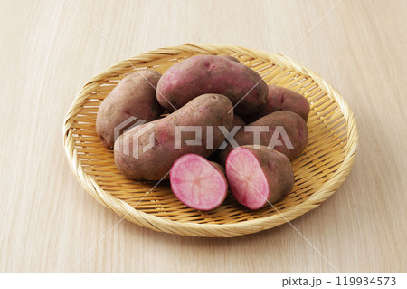 ノーザンルビー 119934573