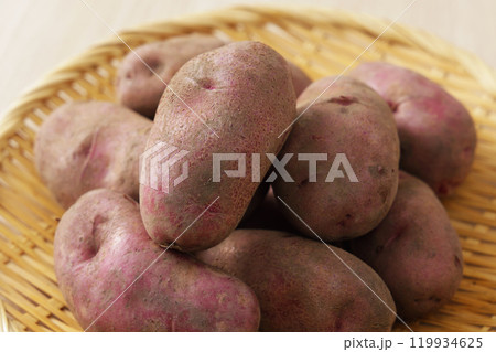 ノーザンルビー 119934625