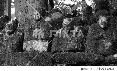 富貴寺境内の古い石仏モノクロ 富貴寺境内の古い石仏モノクロ 119935208