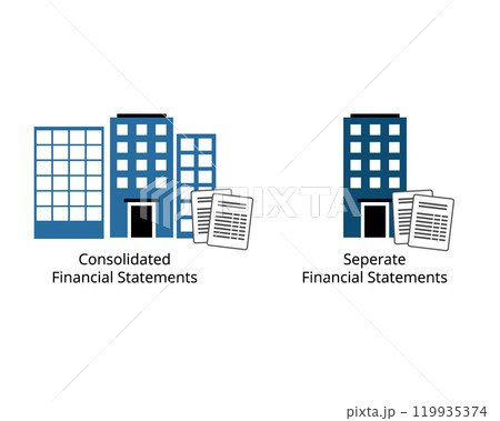 Consolidated financial statements and separate financial statement reports Consolidated financial statements and separate financial statement reports 119935374