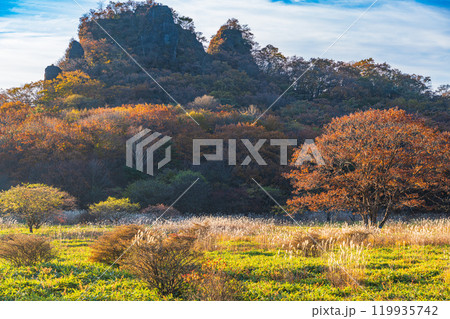 【群馬県】秋の榛名山・沼の原の情景　早朝 119935742