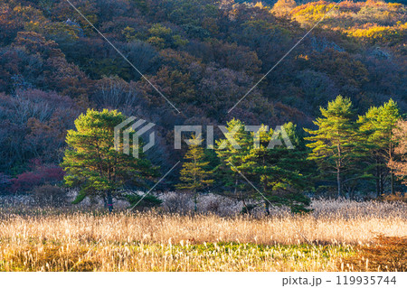 【群馬県】秋の榛名山・沼の原の情景 早朝 【群馬県】秋の榛名山・沼の原の情景 早朝 119935744