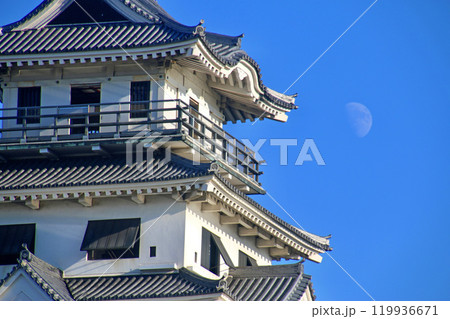 今治城・月と天守(愛媛県・今治市) 今治城・月と天守(愛媛県・今治市) 119936671