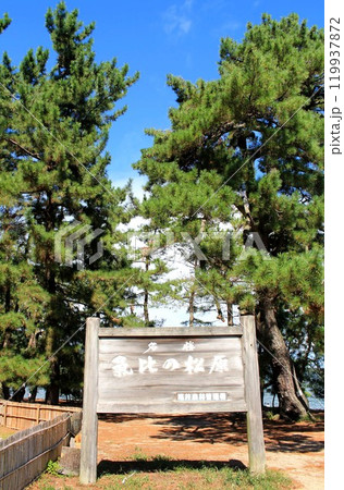 名勝気比の松原 119937872