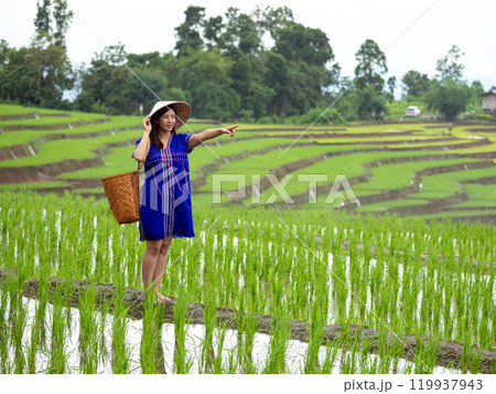 Young woman in blue traditional dress pointing forward in scenic rice paddy field with lush terraced landscape 119937943