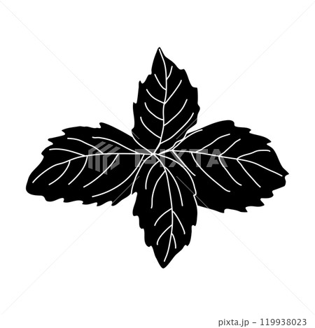 Black silhouette of basil leaves, glyph icon flat vector illustration Black silhouette of basil leaves, glyph icon flat vector illustration 119938023