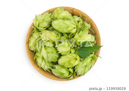 Hop cones in wooden bowl isolated on white background. Beer brewing ingredients. Top view. Flat lay 119938029