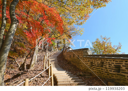 世界遺産/南漢山城　秋の散策路【韓国/京畿道】 119938203