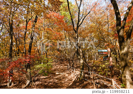 世界遺産/南漢山城　秋の散策路 【韓国/京畿道】 119938211