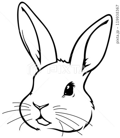 Black Drawing of Rabbit Head Black Drawing of Rabbit Head 119938367
