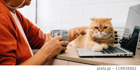 A senior woman in retirement works on her laptop, sharing a joyful moment with her Scottish Fold cat beside her. Their togetherness and contentment make for a heartwarming portrait. 119938802