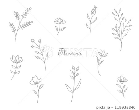シンプルな草花の線画イラスト 119938840