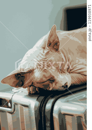 Bald Canadian Sphynx cat sleeping peacefully on a suitcase. Good night, dreamy pet. Travel with cats. Hairless mascot indoors. Vertical illustration 119938971