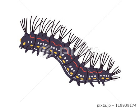 Long black caterpillar crawls. 119939174