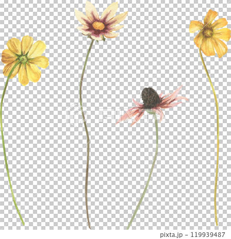 flowers and herbs painted in watercolor 119939487