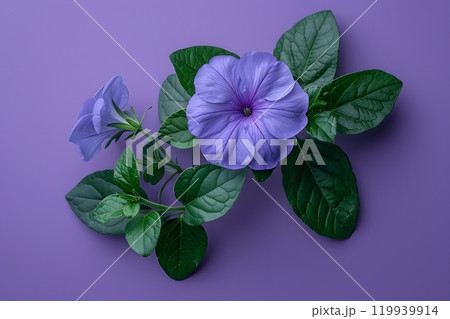 Elegant Purple Hibiscus Flower Artwork on a Vibrant Lavender Background for Botanical Design Generative AI 119939914