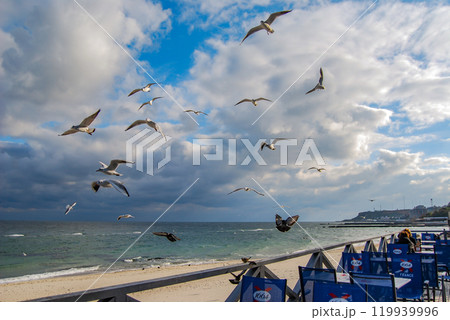 A flock of Black Sea white seagulls soar above an open-air cafe by the sea. Autumn in Odessa, cloudy sky and lots of seagulls. A flock of Black Sea white seagulls soar above an open-air cafe by the sea. Autumn in Odessa, cloudy sky and lots of seagulls. 119939996