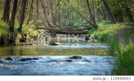 穏やかな小川 穏やかな小川 119940003