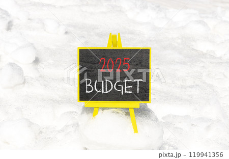 Planning 2025 budget new year symbol. Concept words 2025 Budget on beautiful yellow chalk blackboard. Beautiful white snow background. Business 2025 budget new year concept. Copy space. 119941356