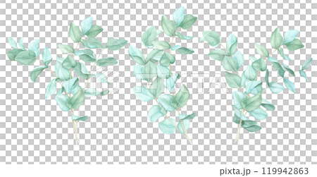 Set of eucalyptus sprigs with natural green leaves. Watercolor illustration Perfect for wedding invites, logo design, or botanical prints. Adds an organic touch to product packaging and digital use Set of eucalyptus sprigs with natural green leaves. Watercolor illustration Perfect for wedding invites, logo design, or botanical prints. Adds an organic touch to product packaging and digital use 119942863