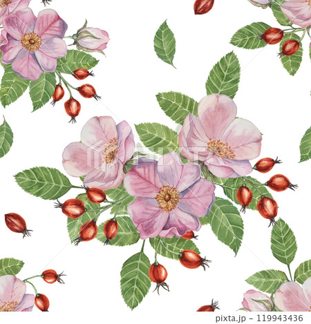 Flowers of Rosa Canina, wild rose buds, rosehip, and green leaves. Watercolor clipart, seamless pattern. Ideal for fabric design, wallpapers, or stationery, offering a nature-inspired artistic touch Flowers of Rosa Canina, wild rose buds, rosehip, and green leaves. Watercolor clipart, seamless pattern. Ideal for fabric design, wallpapers, or stationery, offering a nature-inspired artistic touch 119943436