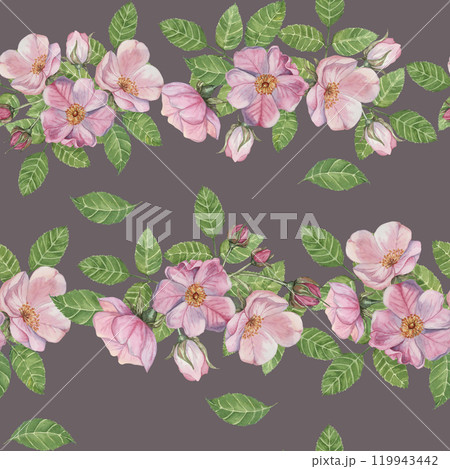 Pink Rosa Canina flowers, rosehip buds and leaves on soft purple background. Seamless watercolor pattern clipart. Ideal for fabric design, home textiles, or crafting projects with floral arrangements Pink Rosa Canina flowers, rosehip buds and leaves on soft purple background. Seamless watercolor pattern clipart. Ideal for fabric design, home textiles, or crafting projects with floral arrangements 119943442