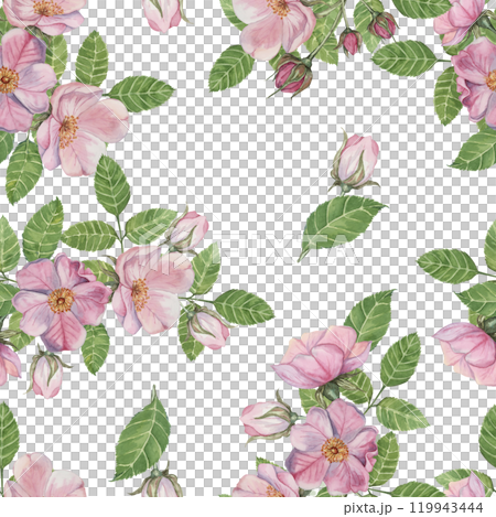 Pink Rosa Canina flowers in bloom, floral elements, along with green leaves. Seamless pattern. Hand painted watercolor clipart. Ideal for surface design, home decor, apparel prints, or DIY crafts Pink Rosa Canina flowers in bloom, floral elements, along with green leaves. Seamless pattern. Hand painted watercolor clipart. Ideal for surface design, home decor, apparel prints, or DIY crafts 119943444