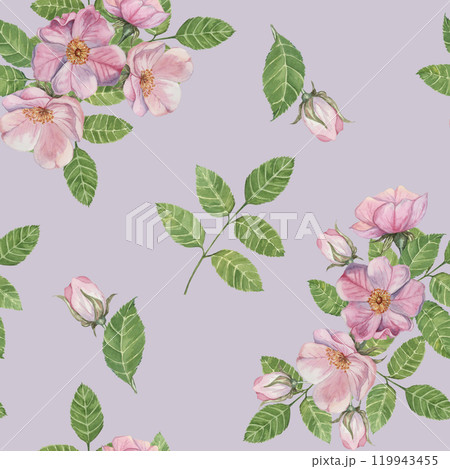 Flowers of Rosa Canina, rosehip bloom in pink shades with green leaves and a light lavender background. Seamless watercolor pattern clipart great for packaging, textiles, or home decor products Flowers of Rosa Canina, rosehip bloom in pink shades with green leaves and a light lavender background. Seamless watercolor pattern clipart great for packaging, textiles, or home decor products 119943455