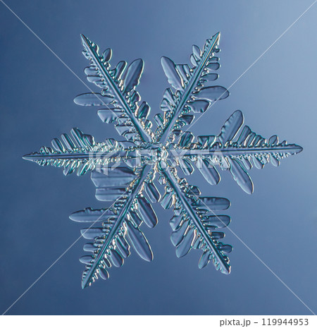 Natural snowflake crystal close-up macro photo 119944953