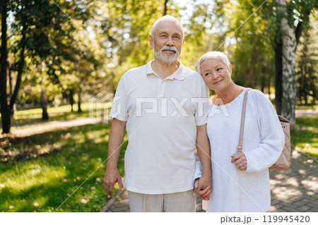 Portrait of loving senior couple enjoying golden years together, holding hands, posing standing in green summer park on sunny day, embodying togetherness and healthy aging with joy and contentment. Portrait of loving senior couple enjoying golden years together, holding hands, posing standing in green summer park on sunny day, embodying togetherness and healthy aging with joy and contentment. 119945420
