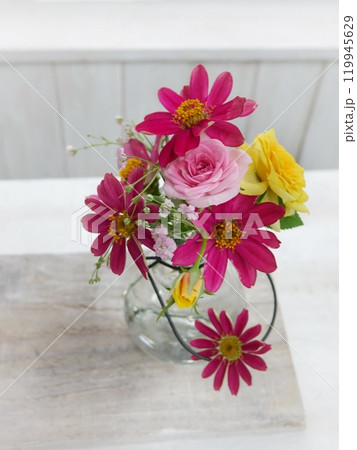 ピンクのジニアと薔薇 ピンクのジニアと薔薇 119945629