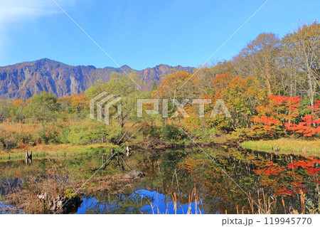 秋の秋山郷　天池と鳥甲山 119945770