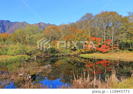 秋の秋山郷　天池と鳥甲山 119945773