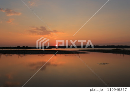水面に映る朝焼け 119946857