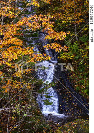 秋の【北海道 豊平峡 九段の滝】 秋の【北海道 豊平峡 九段の滝】 119947246