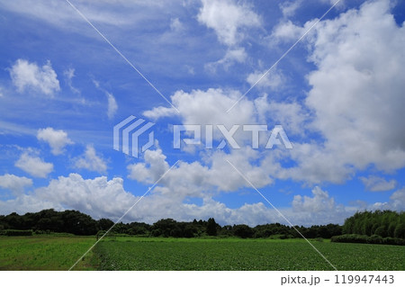 青空と白い雲 119947443