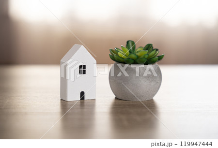 House figurine and decorative flower. Decor and home comfort. 119947444