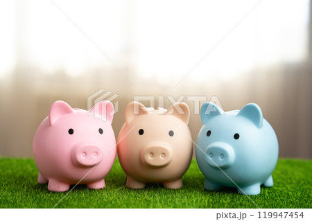 Three piggy banks stand together. Money and finance. Joint business, planning. Diversification of investments, multiple bank accounts. Savings. 119947454