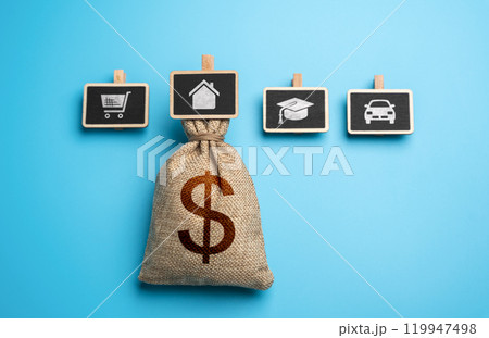 Loans and grants. Borrow money to improve living conditions. Home budget. Financial management. Planning. 119947498
