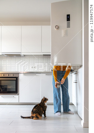 Hungry cat begging for food, waiting for its owner to get tuna in a can out of the refrigerator. Hungry cat begging for food, waiting for its owner to get tuna in a can out of the refrigerator. 119947574