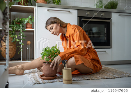 Focused woman plants lover taking care of houseplants. Measured hobby brings satisfaction, calmness Focused woman plants lover taking care of houseplants. Measured hobby brings satisfaction, calmness 119947696