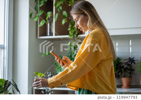 Female taking photos of potted plant to show to botanist for commentaries on care, characteristics Female taking photos of potted plant to show to botanist for commentaries on care, characteristics 119947793