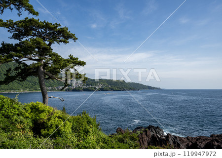 城ヶ崎海岸 こずりからの眺め　静岡県伊東市 119947972