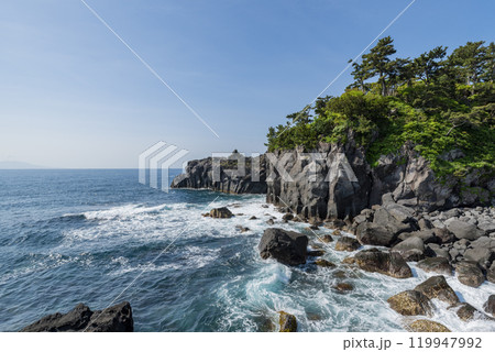 城ヶ崎海岸 静岡県伊東市 城ヶ崎海岸 静岡県伊東市 119947992