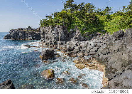 城ヶ崎海岸 静岡県伊東市 城ヶ崎海岸 静岡県伊東市 119948001