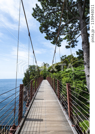 城ヶ崎海岸 門脇つり橋 静岡県伊東市 城ヶ崎海岸 門脇つり橋 静岡県伊東市 119948011