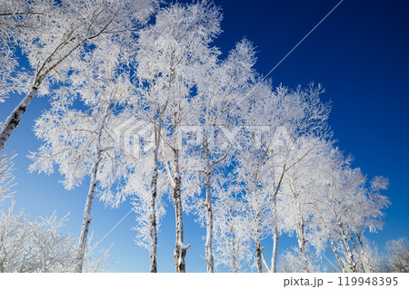 霧氷と青空 霧氷と青空 119948395