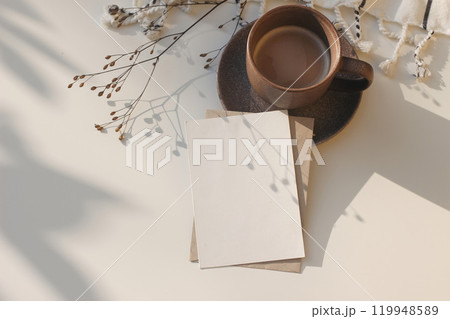 Christmas still life. Blank greeting card, invitation mockup. Dry flower seeds in sunlight. Soft shadows. Cup of coffee, checkered plaid on white table. Festive winter flatlay, top view. Copy space. Christmas still life. Blank greeting card, invitation mockup. Dry flower seeds in sunlight. Soft shadows. Cup of coffee, checkered plaid on white table. Festive winter flatlay, top view. Copy space. 119948589