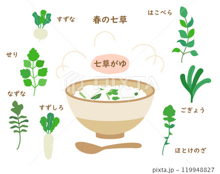 春の七草と七草粥のイラストのセット 春の七草と七草粥のイラストのセット 119948827